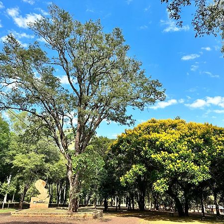 Parque Hotel Manantial Hohenau Bagian luar foto