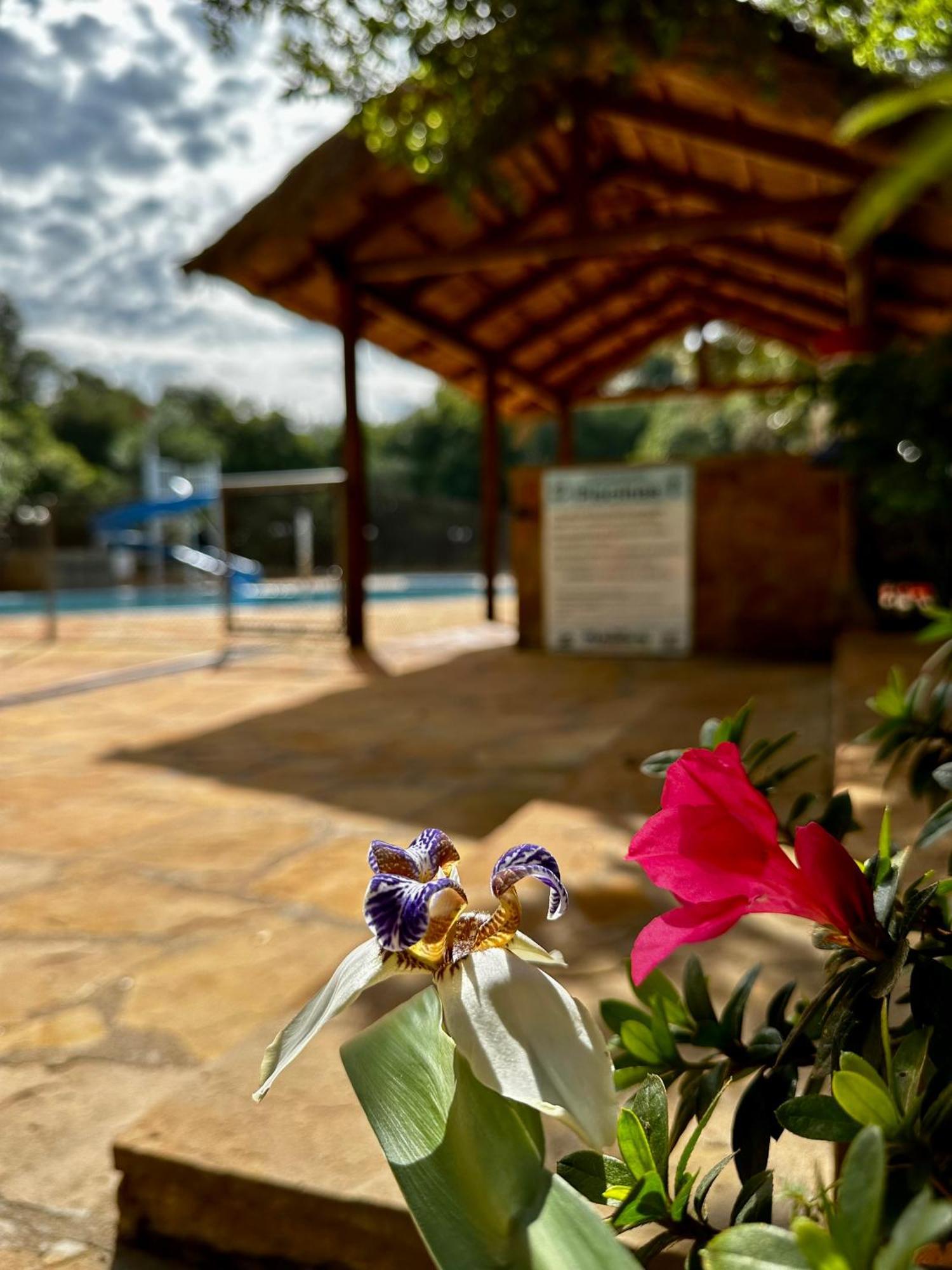 Parque Hotel Manantial Hohenau Bagian luar foto