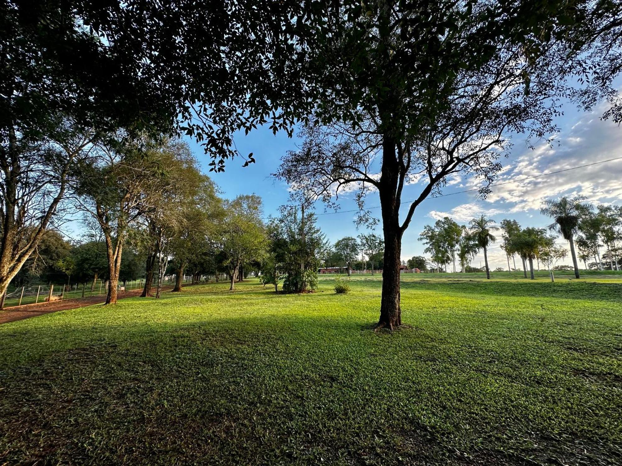 Parque Hotel Manantial Hohenau Bagian luar foto