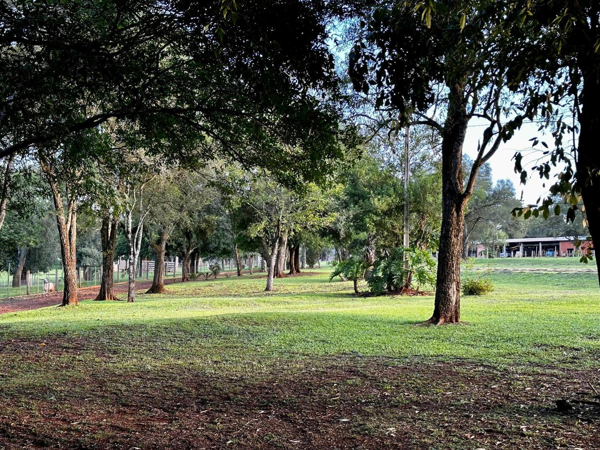 Parque Hotel Manantial Hohenau Bagian luar foto